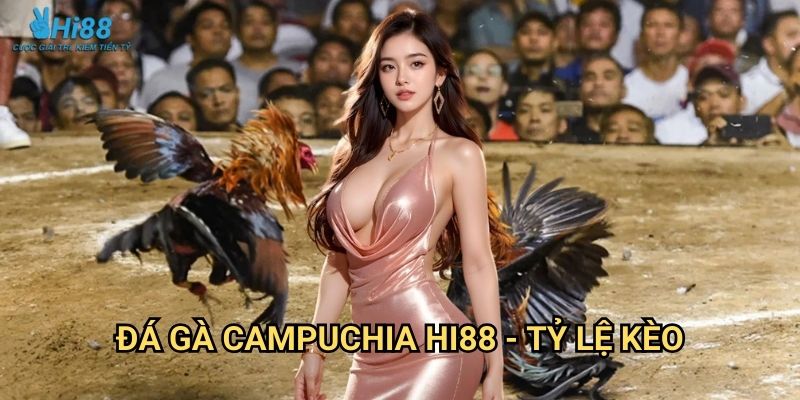 Đá Gà Campuchia Hi88 - Giải Đấu Quốc Tế 3 Đá gà Campuchia Hi88 - Tỷ lệ kèo