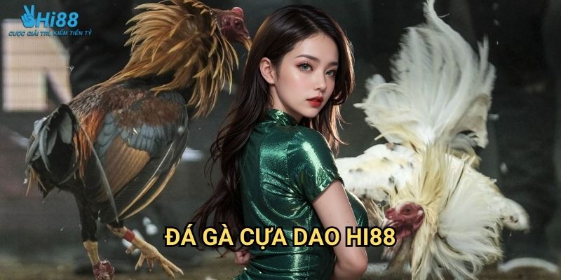 Đá Gà Cựa Dao Hi88 - Đỉnh Cao Võ Thuật 1 Đá Gà Cựa Dao Hi88 - Đỉnh Cao Võ Thuật