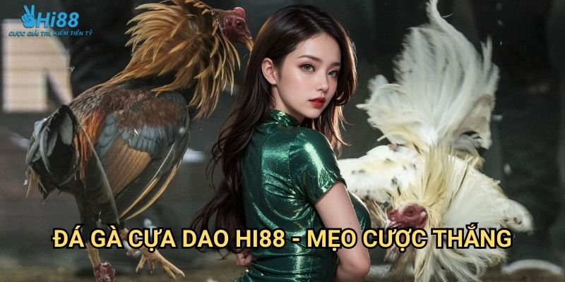 Đá Gà Cựa Dao Hi88 - Đỉnh Cao Võ Thuật 3 Đá gà cựa dao Hi88 - Mẹo cược thắng