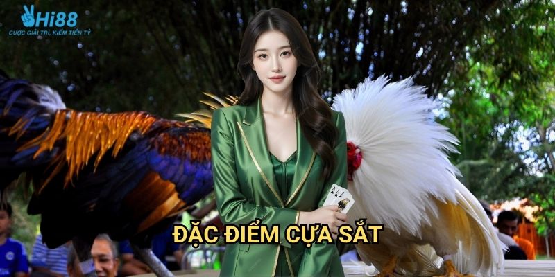 Đá Gà Cựa Sắt Thomo Hi88 - Kịch Tính Cao 2 Đặc điểm cựa sắt