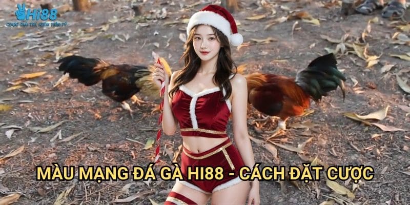 Màu Mạng Đá Gà Hi88 - Kiến Thức Cơ Bản 3 Màu mạng đá gà Hi88 - Cách đặt cược