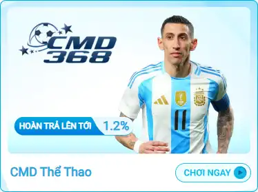 Trang chủ 13 t5