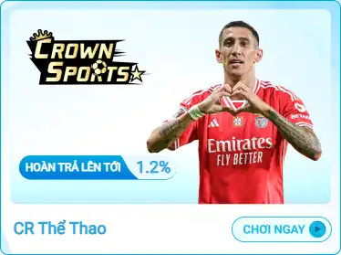 Trang chủ 16 tt